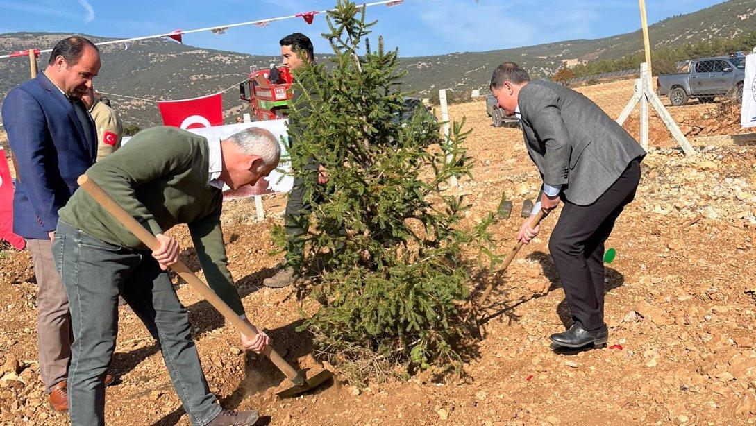 11 Kasım Milli Ağaçlandırma Günü Etkinlikleri Kapsamında Fidan Dikimi Faaliyetleri