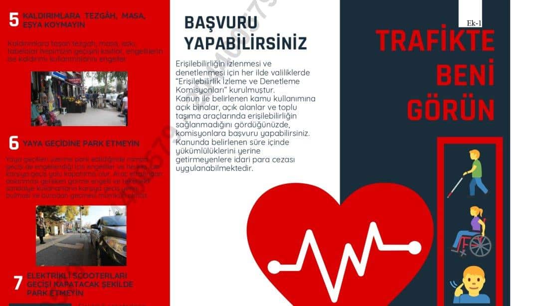 Karayolu Trafik Güvenliği Eylem Planı